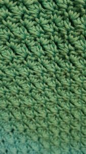 Suzette stitch in green yarn by Triggerfish Crochet